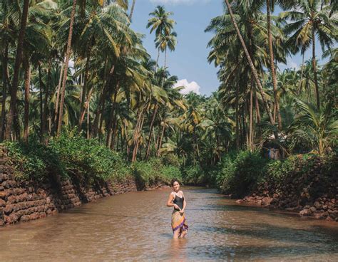 cola beach goa.